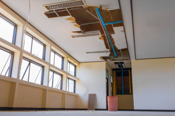 Best Water damage cleanup near me  in Oakland, NJ