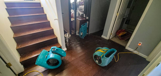 Best Mold removal after water damage  in Oakland, NJ