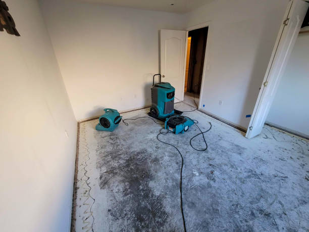 Best Professional water damage repair  in Oakland, NJ