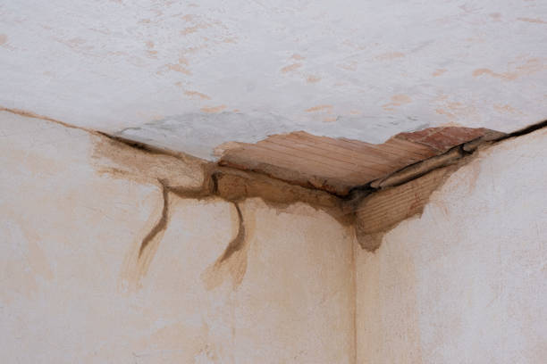 Best Flood damage cleanup  in Oakland, NJ