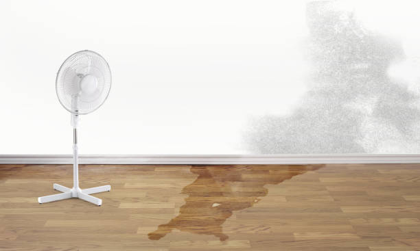 Best Residential water damage restoration  in Oakland, NJ