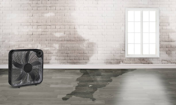 Best Water damage restoration near me  in Oakland, NJ