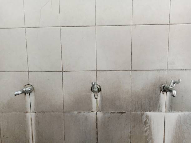 Best Fire Damage Restoration  in Oakland, NJ