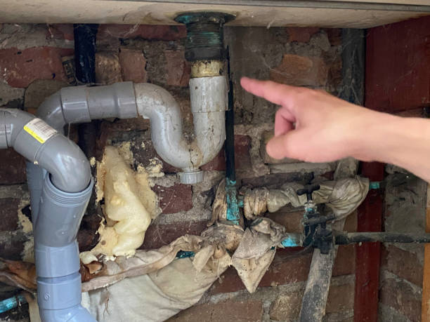 Best Basement water damage restoration  in Oakland, NJ