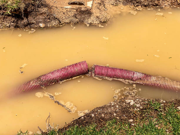 Best Emergency water damage restoration  in Oakland, NJ