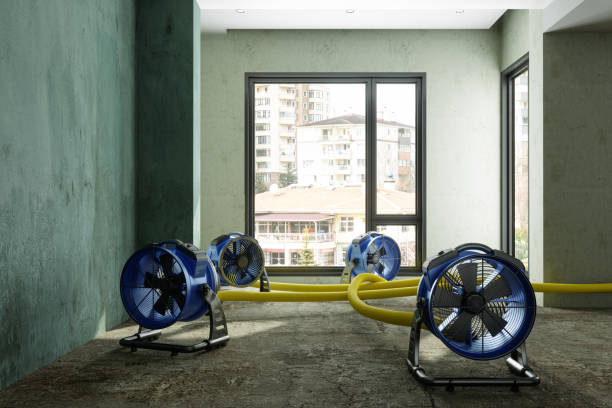 Best 24-hour water damage restoration  in Oakland, NJ